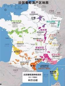 法国产区,探寻法国葡萄酒的瑰宝之地